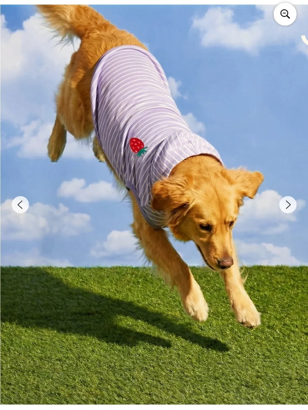 Oodles Purple Striped Strawberry Dog Hoodie Sweatshirt Medium & Large